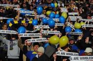 afc wimbledon